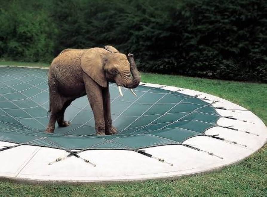 looplocelephant